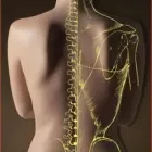 Business 2 image MULTICARE CHIROPRACTIC New Chiropractor Castle Hill in Castle Hill NSW
