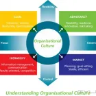 Business 2 image MULTIRATER SURVEYS Employee Engagement Survey in North Sydney NSW