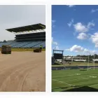 Business 1 image MUSTURF Turf & Lawn Suppliers in Freemans Reach NSW
