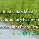 Business 4 image MUSTURF Turf & Lawn Suppliers in Freemans Reach NSW