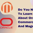 Business 1 image MY PROGRAMMERS WordpressDevelopmentCompanyInAustralia in Singleton WA