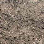 Business 7 image NATHAN O'TOOLE Sand in Mordialloc VIC