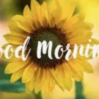 Business 1 image NEWS CONCIERGE Internet Marketing Service in Surry Hills NSW