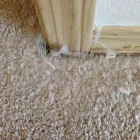 Business 4 image NEXT DAY CLEANING - CARPET REPAIR BRISBANE Carpet Repair in Brisbane QLD