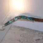 Business 1 image NO PROBS PLUMBING AND ELECTRICAL Plumbers & Gas Fitters in Welshpool WA