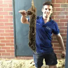 Business 3 image NO PROBS PLUMBING AND ELECTRICAL Plumbers & Gas Fitters in Welshpool WA