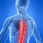 Business 4 image NORTHERN SPINAL & SPORTS INJURY CLINIC Physiotherapy in Melbourne VIC
