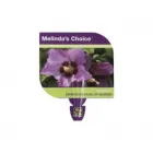 Business 10 image NORWOOD INDUSTRIES Website Designer in Hallam VIC