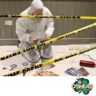 Business 3 image O'SHEA'S ORGANISATION Commercial & Industrial Cleaning Services in Woodville Park SA