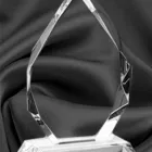 Business 4 image OLYMPIA TROPHIES CORPORATE Trophies in Castle Hill NSW