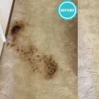 Business 2 image OMEGA TRAVEL SERVICE Tree Service in Perth WA