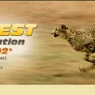 Business 3 image ONLINE COMPANY REGISTRATION Starting a New Company in Sydney NSW