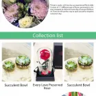 Business 1 image ONLINE FREE FLOWER DELIVERY | THE LITTLE MARKET BUNCH Wedding Flowers in Melbourne VIC