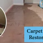 Business 2 image OOPS CARPET REPAIR BRISBANE Carpet Repair in Brisbane QLD