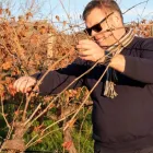 Business 3 image ORGANIC HILL WINES Vegan Wine in McLaren Vale SA