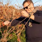 Business 1 image ORGANIC HILL WINES Wineries & Vineyards in McLaren Vale SA