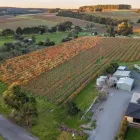 Business 2 image ORGANIC HILL WINES Wineries & Vineyards in McLaren Vale SA