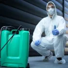 Business 1 image OZ PEST CONTROL HOBART Pest Control Companies in Hobart TAS