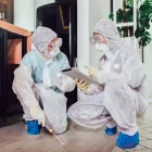 Business 1 image OZ WASP REMOVAL PERTH Pest Control Companies in Perth WA