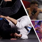 Business 1 image PADDINGTON MASSAGE STUDIO Massage Therapy in Milton QLD