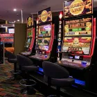 Business 20 image PALMWOODS HOTEL Restaurant in Palmwoods QLD