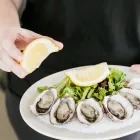 Business 24 image PALMWOODS HOTEL Restaurant in Palmwoods QLD