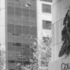 Business 1 image PAPA HUGHES Criminal Law in Melbourne VIC