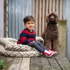 Business 3 image PAWTRAITS OF PETS AND PEOPLE PHOTOGRAPHY professional pet photos in Northcote VIC