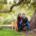 Business 6 image PAWTRAITS OF PETS AND PEOPLE PHOTOGRAPHY professional pet photos in Northcote VIC