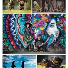 Business 7 image PAWTRAITS OF PETS AND PEOPLE PHOTOGRAPHY professional pet photos in Northcote VIC