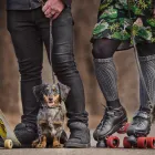 Business 11 image PAWTRAITS OF PETS AND PEOPLE PHOTOGRAPHY professional pet photos in Northcote VIC