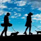 Business 13 image PAWTRAITS OF PETS AND PEOPLE PHOTOGRAPHY professional pet photos in Northcote VIC