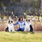 Business 21 image PAWTRAITS OF PETS AND PEOPLE PHOTOGRAPHY professional pet photos in Northcote VIC