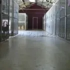 Business 8 image PAWZ N CLAWZ PET ACCOMMODATION Yulara in Alice Springs NT