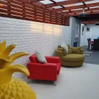 Business 2 image PERFORMANCE PAINTING weatherboard restoration in Hobart TAS