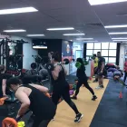 Business 12 image PERSONALISED TRAINING INSTITUTE Training in Castle Hill NSW