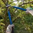 Business 2 image PERTH TREE LOPPING WA Tree Felling & Stump Removal in Malaga WA
