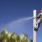Business 4 image PERTH TREE LOPPING WA Tree Felling & Stump Removal in Malaga WA