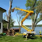 Business 3 image PERTH TREE REMOVAL Tree Stump Removal Perth in Burswood WA