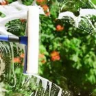 Business 5 image PERTH WINDOW CLEANING WA Window Cleaning in Perth WA