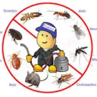 Business 1 image PEST BUSTERS - PEST CONTROL SYDNEY Pest Control in Sydney NSW