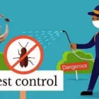 Business 5 image PEST BUSTERS - PEST CONTROL SYDNEY Pest Control in Sydney NSW