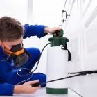 Business 3 image PEST CONTROL ALEXANDRIA Pest Control in Alexandria NSW