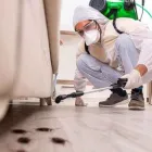 Business 6 image PEST CONTROL ALEXANDRIA Pest Control in Alexandria NSW