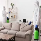 Business 7 image PEST CONTROL ALEXANDRIA Pest Control in Alexandria NSW