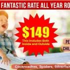 Business 2 image PEST CONTROL BRISBANE GOLD COAST Spider Control in Marsden QLD