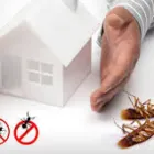 Business 1 image PEST CONTROL CAMPBELLTOWN Pest Inspection in Campbelltown North NSW