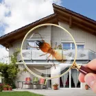 Business 1 image PEST CONTROL FRANKLIN Pest Control in Fishwick ACT