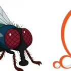 Business 2 image PEST CONTROL HIGHETT Pest Control in Highett VIC