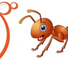 Business 1 image PEST CONTROL HIGHETT Pest Control in Highett VIC